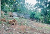 Land for Sale in Ampitiya