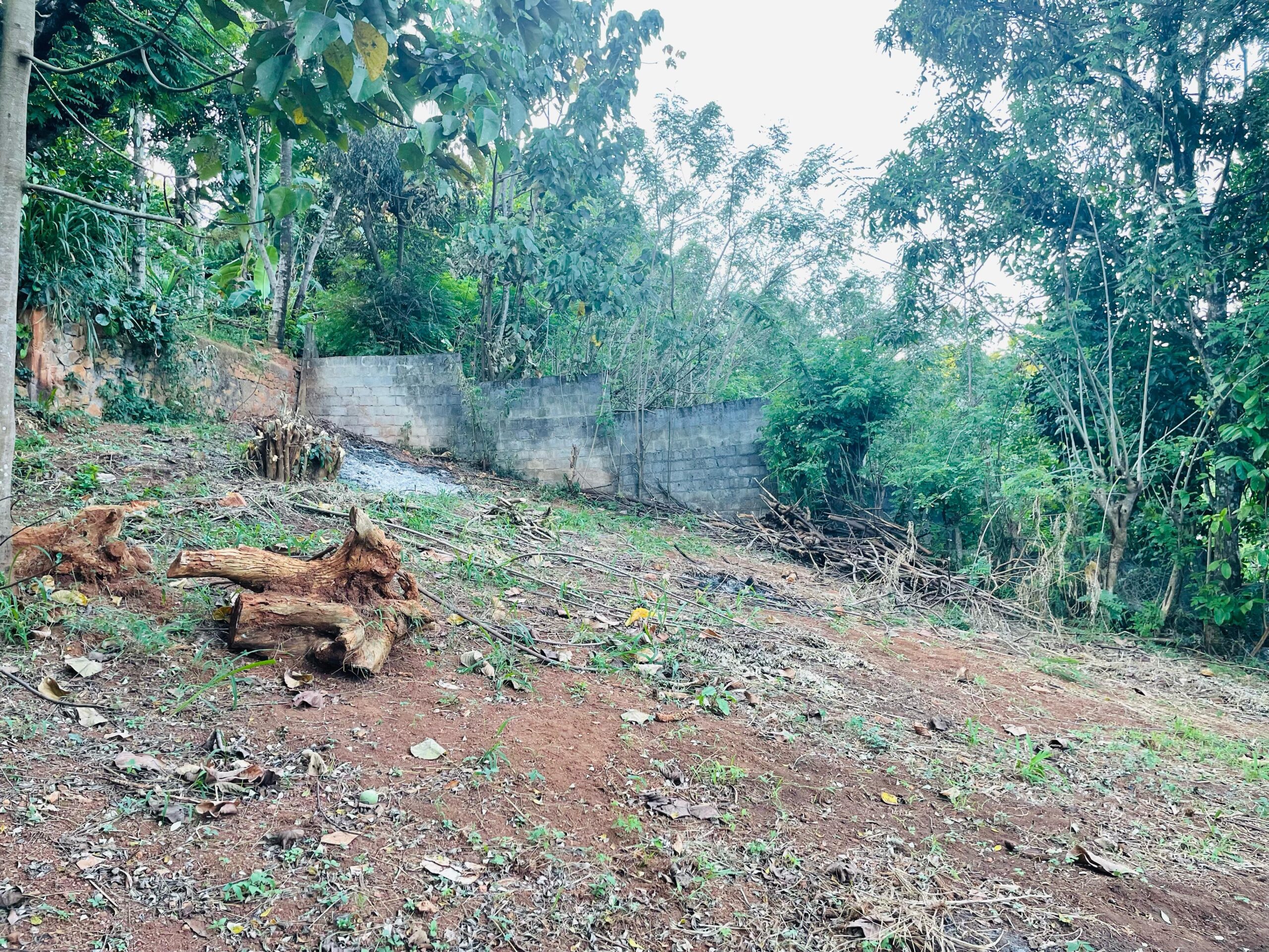 Land for Sale in Ampitiya