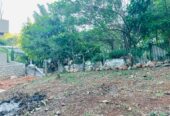 Land for Sale in Ampitiya