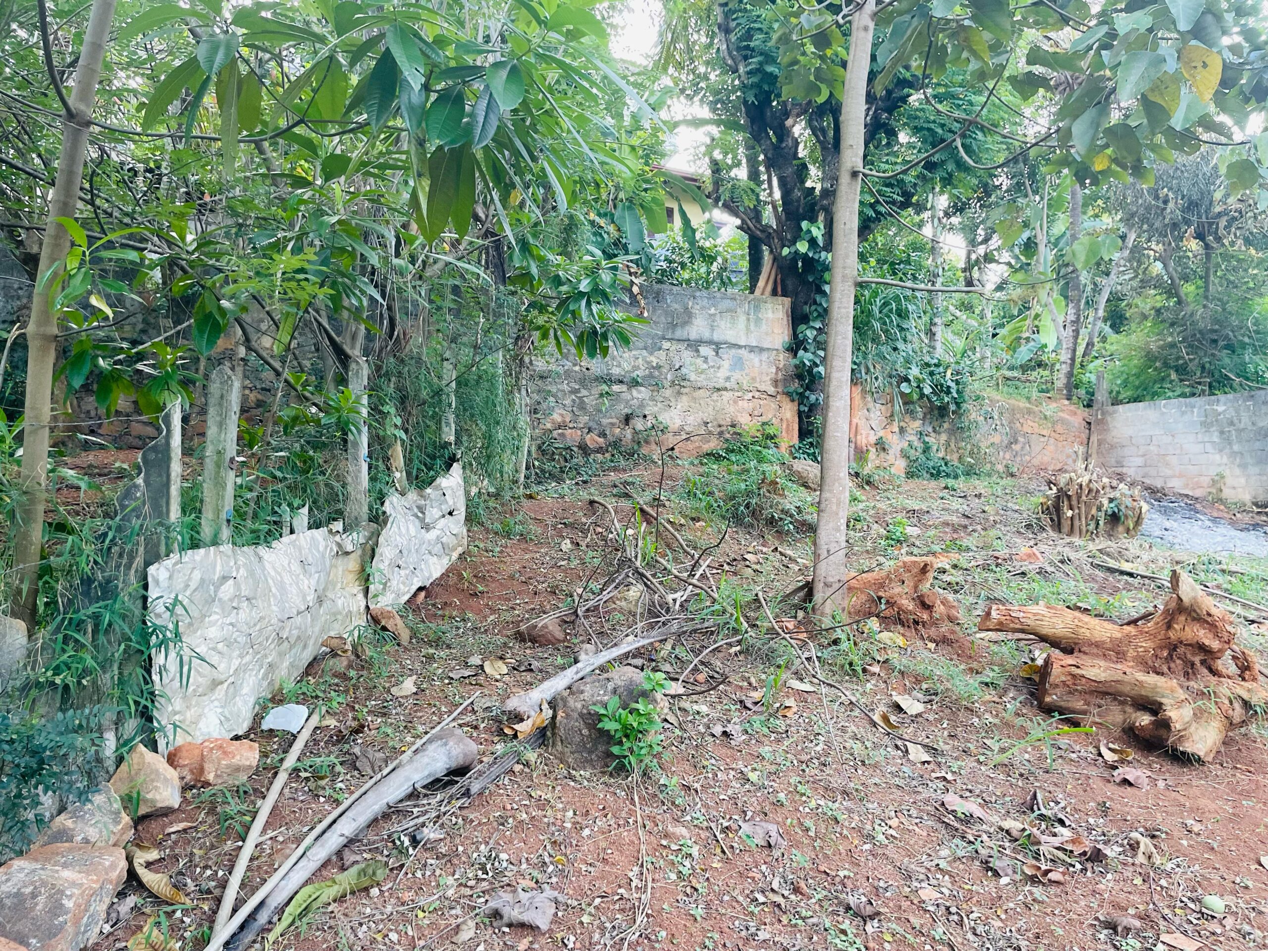 Land for Sale in Ampitiya