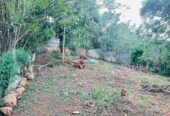 Land for Sale in Ampitiya
