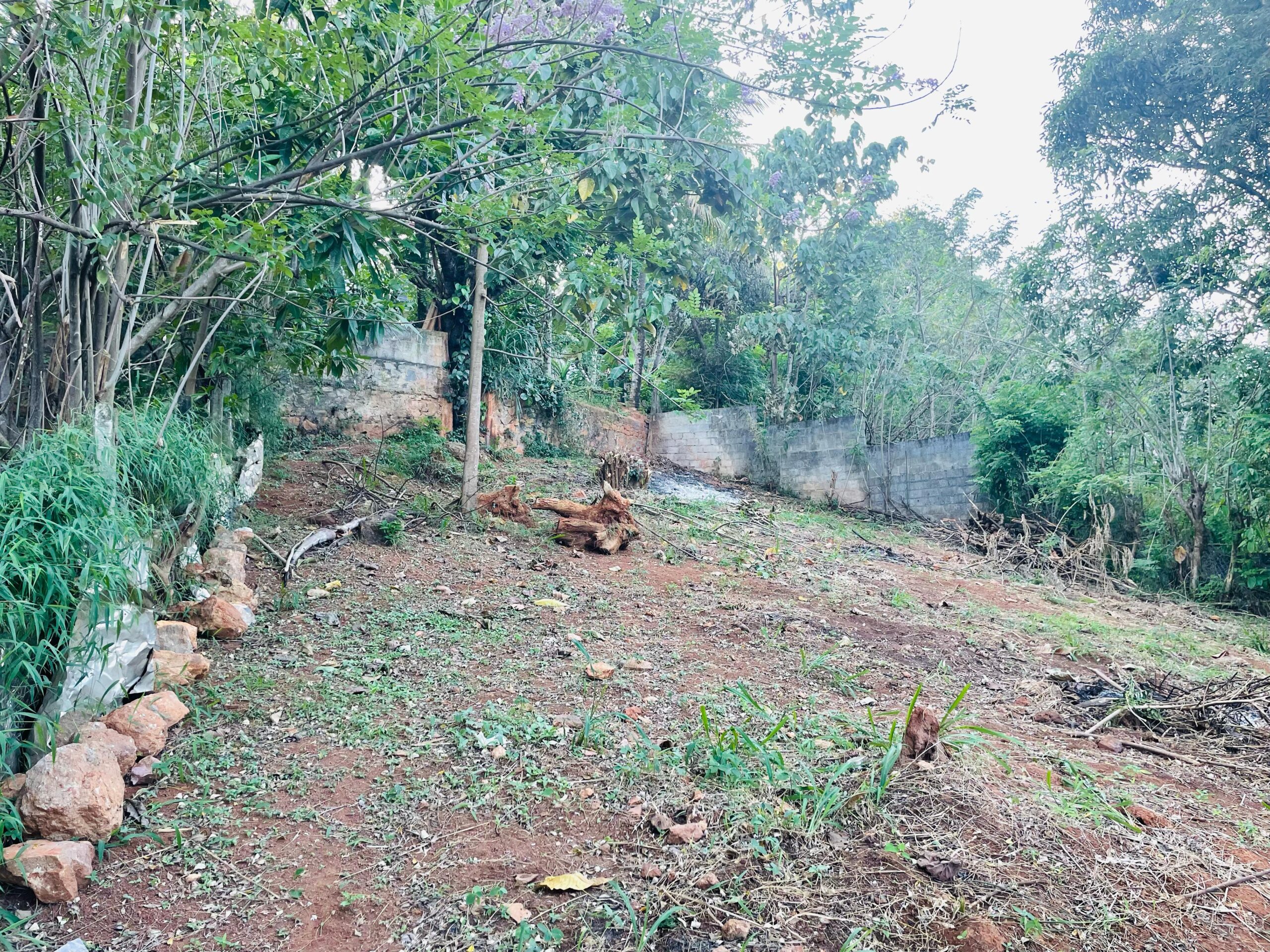 Land for Sale in Ampitiya
