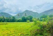 Land for Sale in Mawathagama, Kurunegala