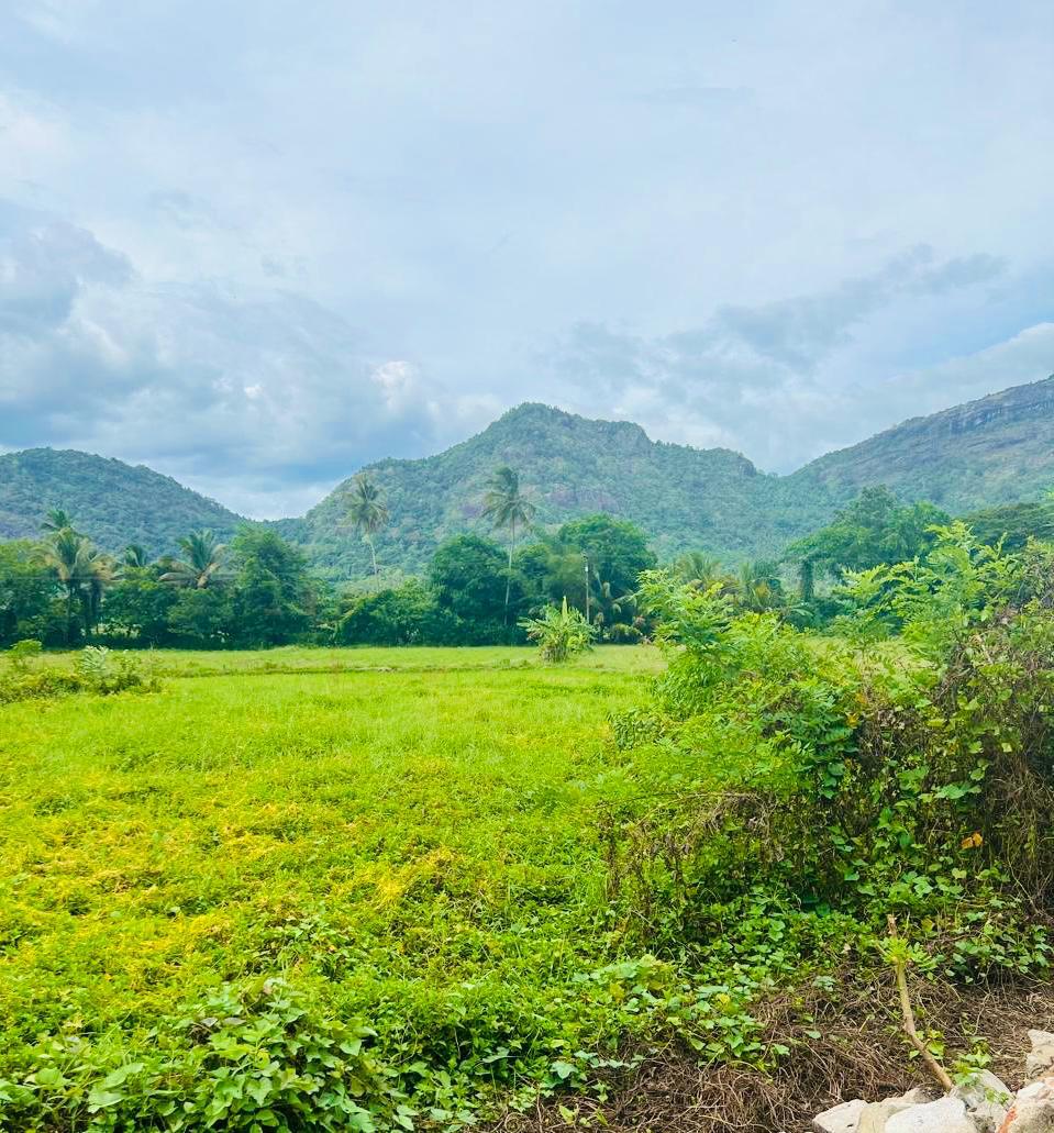 Land for Sale in Mawathagama, Kurunegala