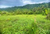 Land for Sale in Mawathagama, Kurunegala
