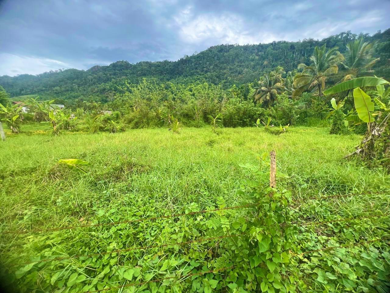 Land for Sale in Mawathagama, Kurunegala