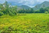 Land for Sale in Mawathagama, Kurunegala