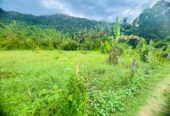 Land for Sale in Mawathagama, Kurunegala