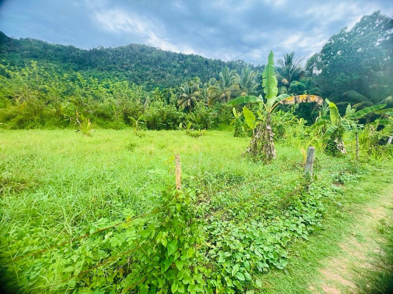 Land for Sale in Mawathagama, Kurunegala