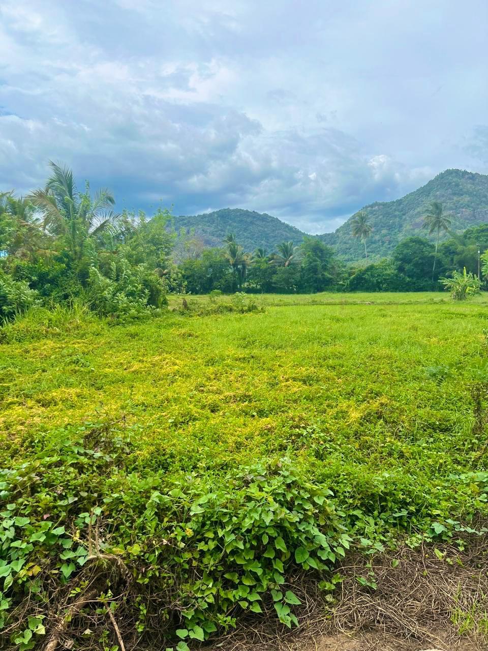 Land for Sale in Mawathagama, Kurunegala