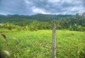 Land for Sale in Mawathagama, Kurunegala