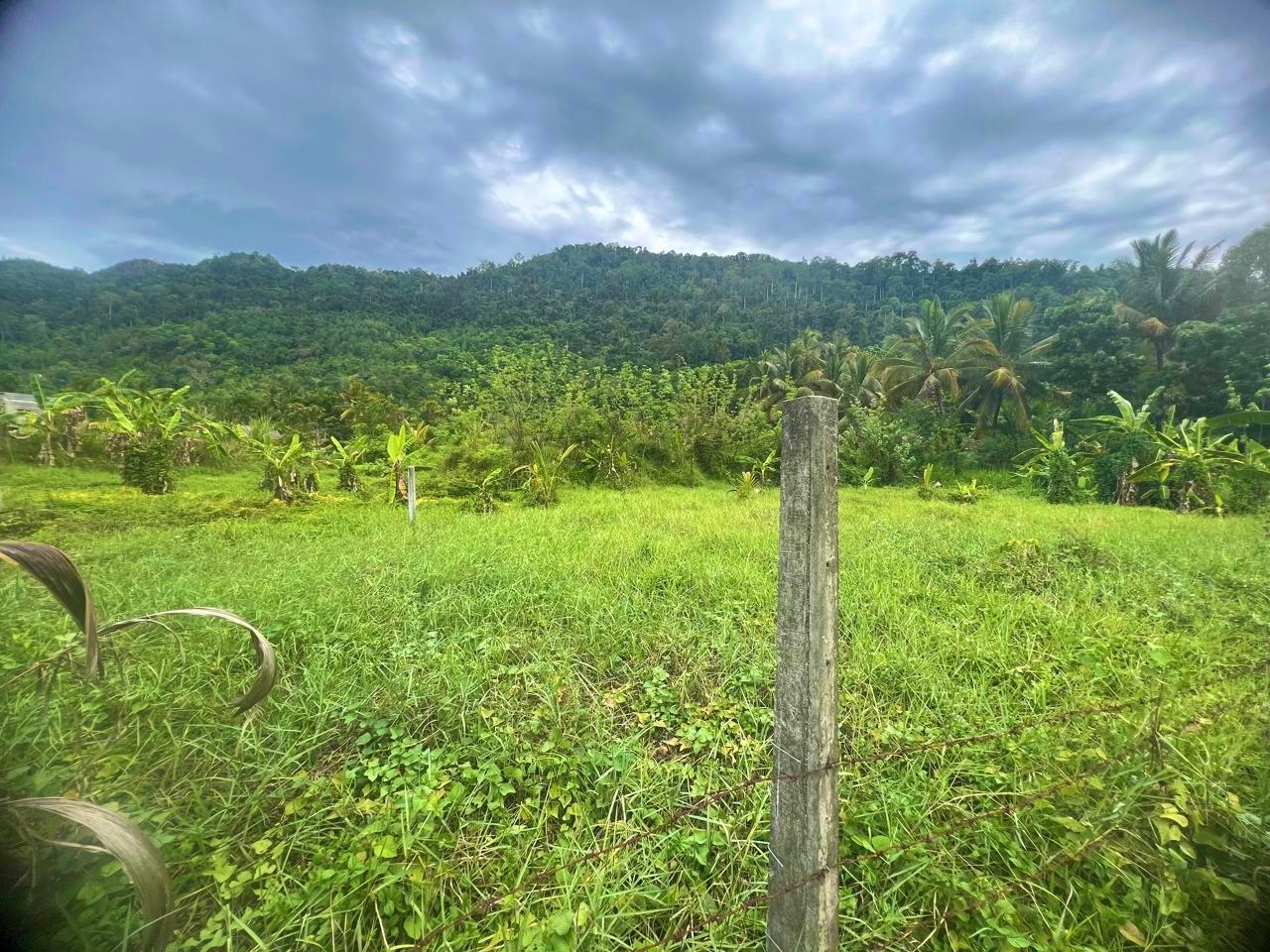 Land for Sale in Mawathagama, Kurunegala
