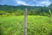 Land for Sale in Mawathagama, Kurunegala
