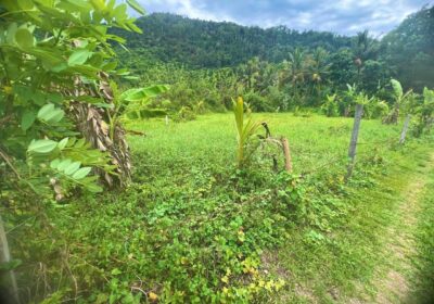 Land for Sale in Mawathagama, Kurunegala