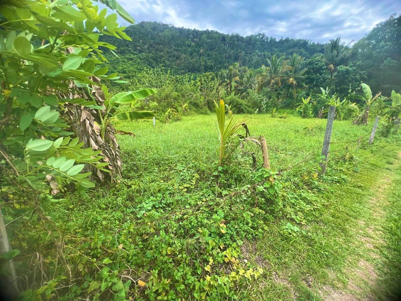 Land for Sale in Mawathagama, Kurunegala