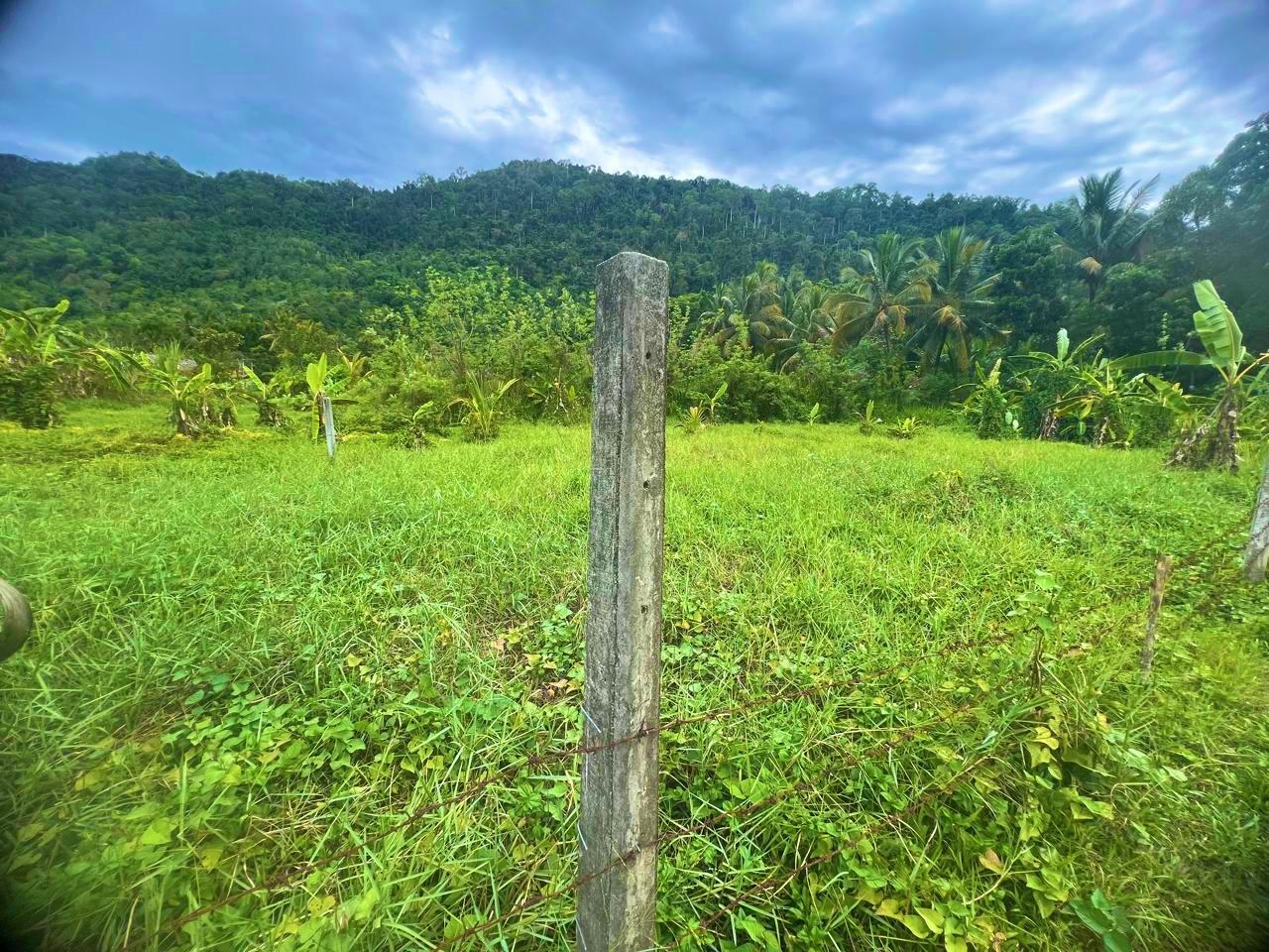 Land for Sale in Mawathagama, Kurunegala