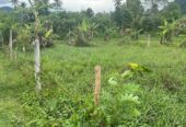 Land for Sale in Mawathagama, Kurunegala