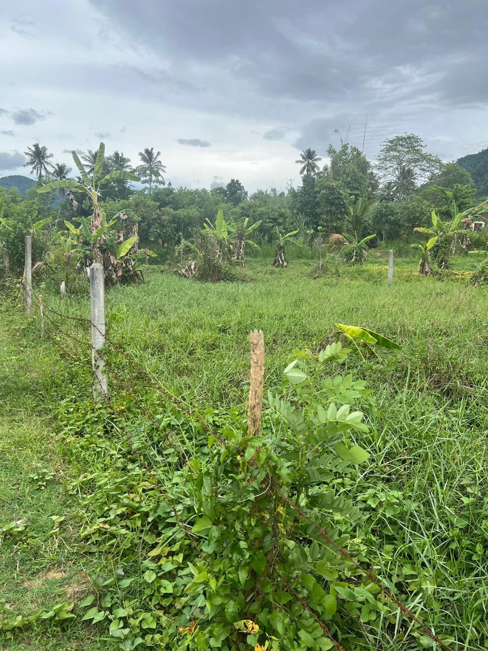 Land for Sale in Mawathagama, Kurunegala