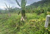 Land for Sale in Mawathagama, Kurunegala