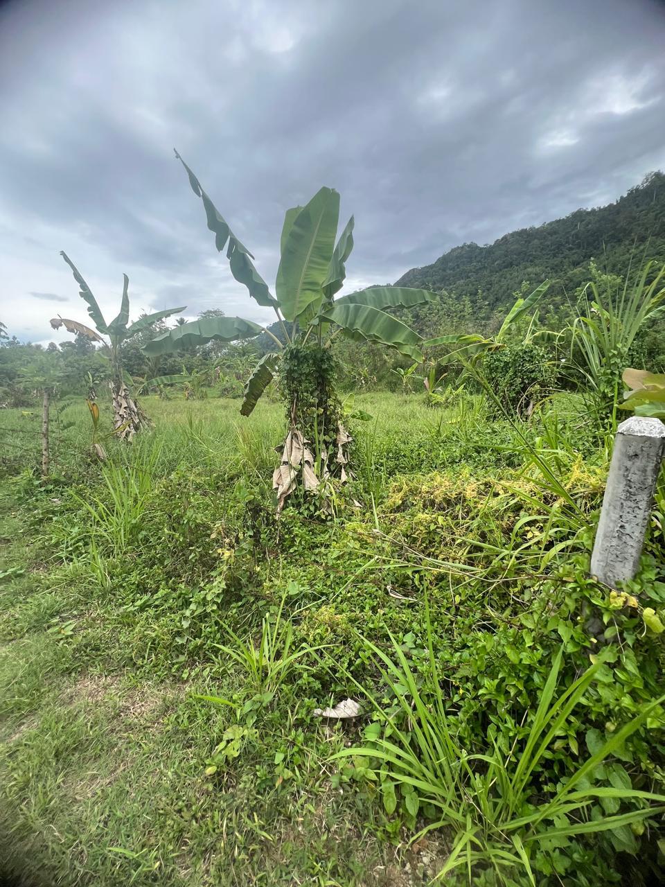 Land for Sale in Mawathagama, Kurunegala