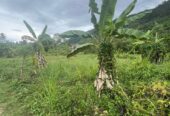 Land for Sale in Mawathagama, Kurunegala