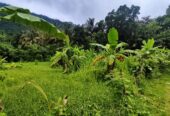 Land for Sale in Mawathagama, Kurunegala