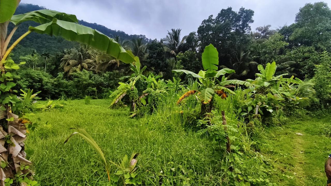 Land for Sale in Mawathagama, Kurunegala