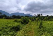 Land for Sale in Mawathagama, Kurunegala