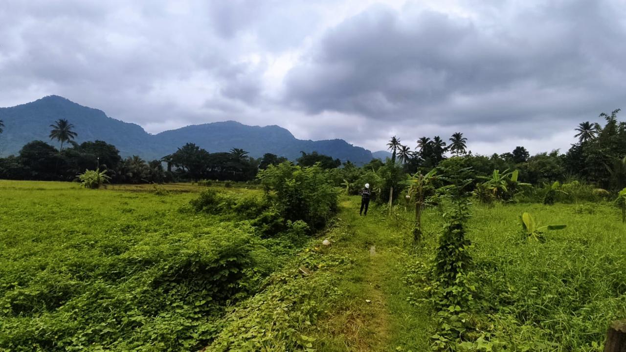 Land for Sale in Mawathagama, Kurunegala