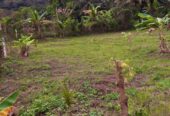 Land for Sale in Mawathagama, Kurunegala
