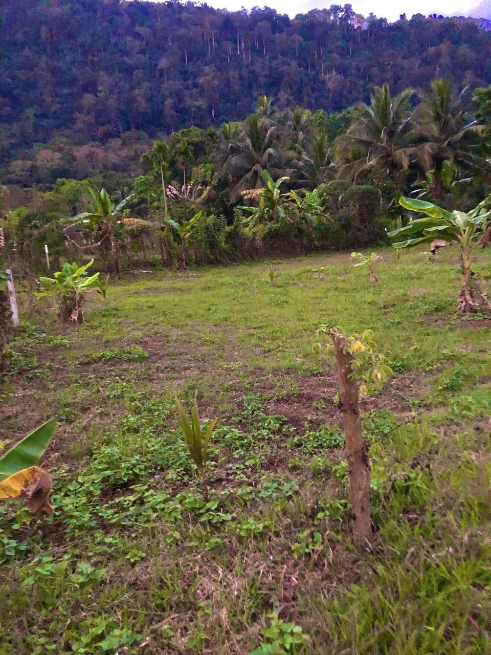 Land for Sale in Mawathagama, Kurunegala