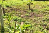 Land for Sale in Mawathagama, Kurunegala
