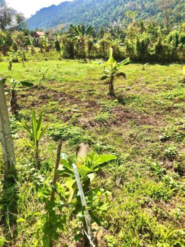 Land for Sale in Mawathagama, Kurunegala