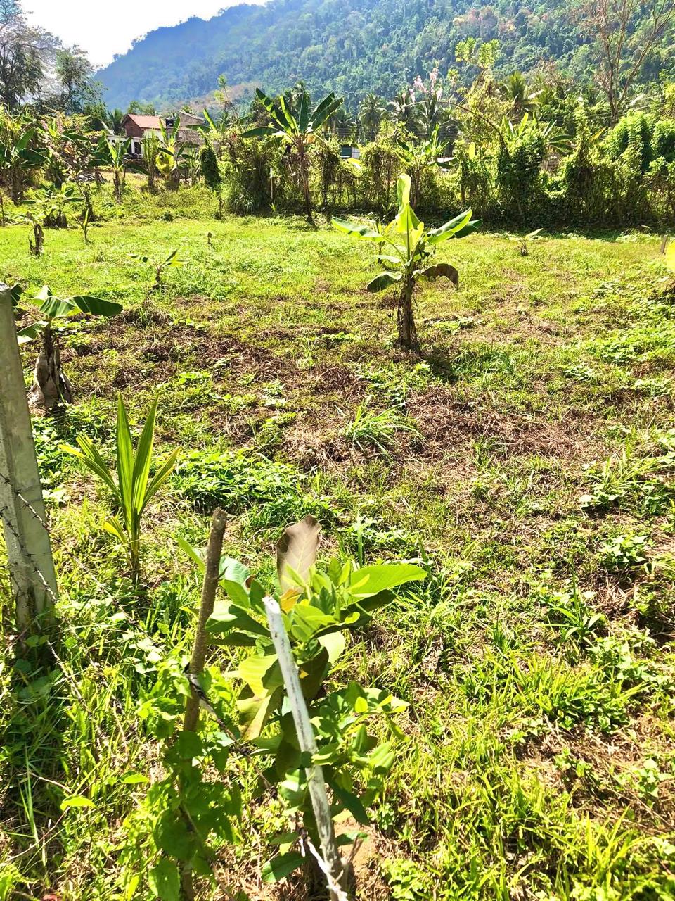 Land for Sale in Mawathagama, Kurunegala