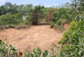 Dodangoda Land Sale 20 Perches