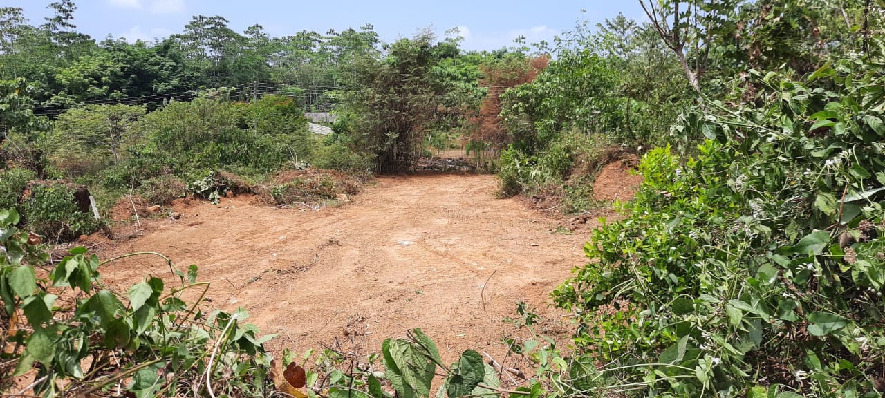 Dodangoda Land Sale 20 Perches