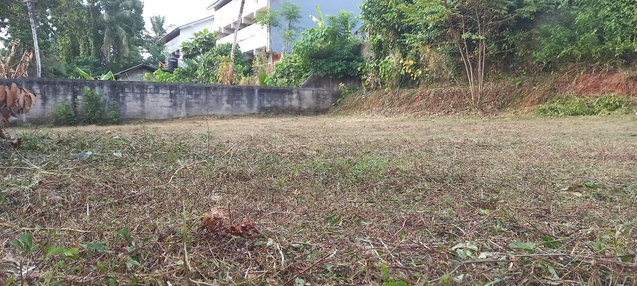 නිට්ටඹුව නගරයේ ඉඩමක් විකිණීමට