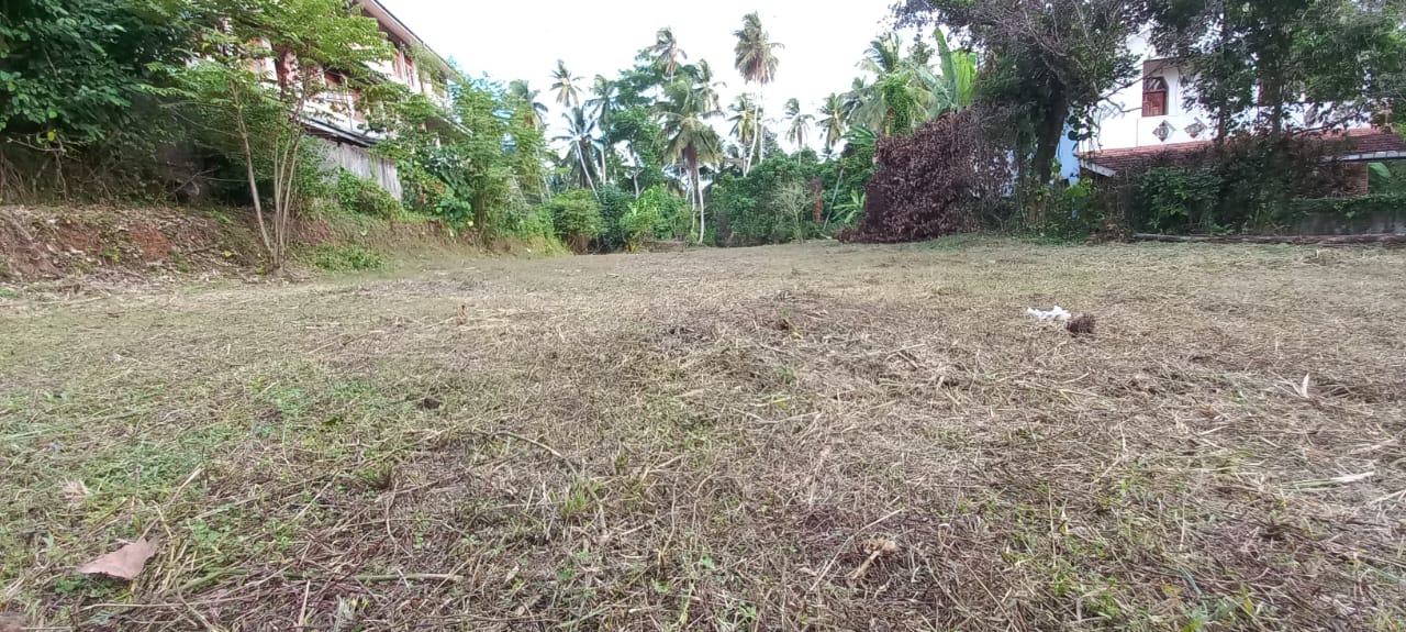 නිට්ටඹුව නගරයේ ඉඩමක් විකිණීමට