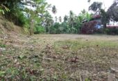 නිට්ටඹුව නගරයේ ඉඩමක් විකිණීමට