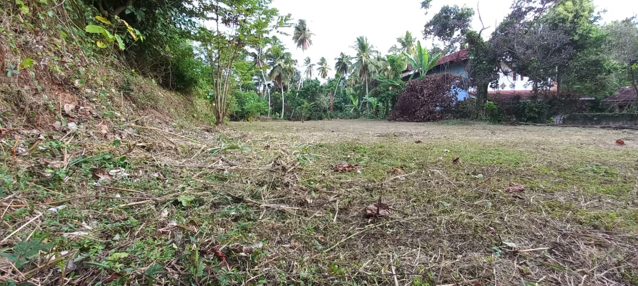 නිට්ටඹුව නගරයේ ඉඩමක් විකිණීමට