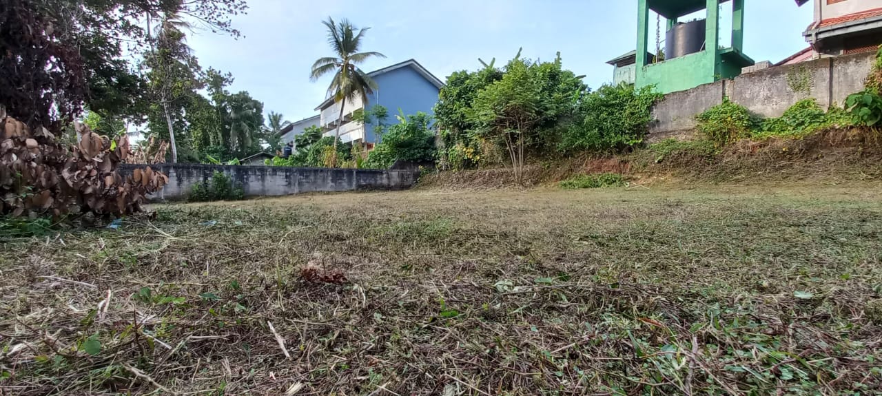 නිට්ටඹුව නගරයේ ඉඩමක් විකිණීමට