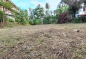 නිට්ටඹුව නගරයේ ඉඩමක් විකිණීමට