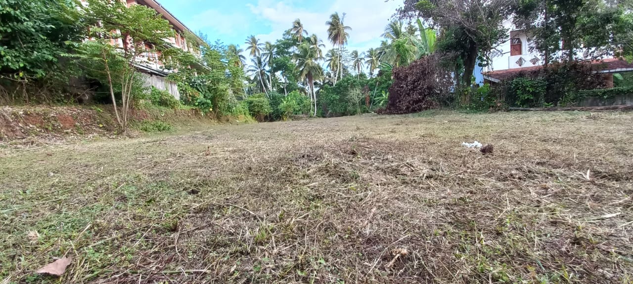 නිට්ටඹුව නගරයේ ඉඩමක් විකිණීමට