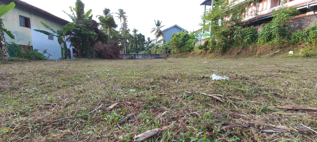 නිට්ටඹුව නගරයේ ඉඩමක් විකිණීමට