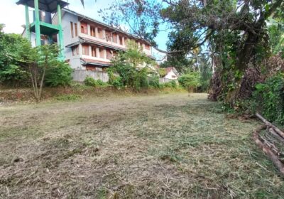 නිට්ටඹුව නගරයේ ඉඩමක් විකිණීමට