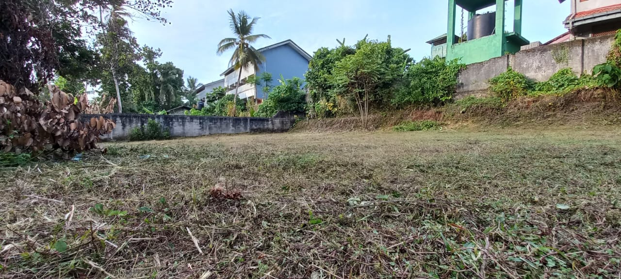 නිට්ටඹුව නගරයේ ඉඩමක් විකිණීමට