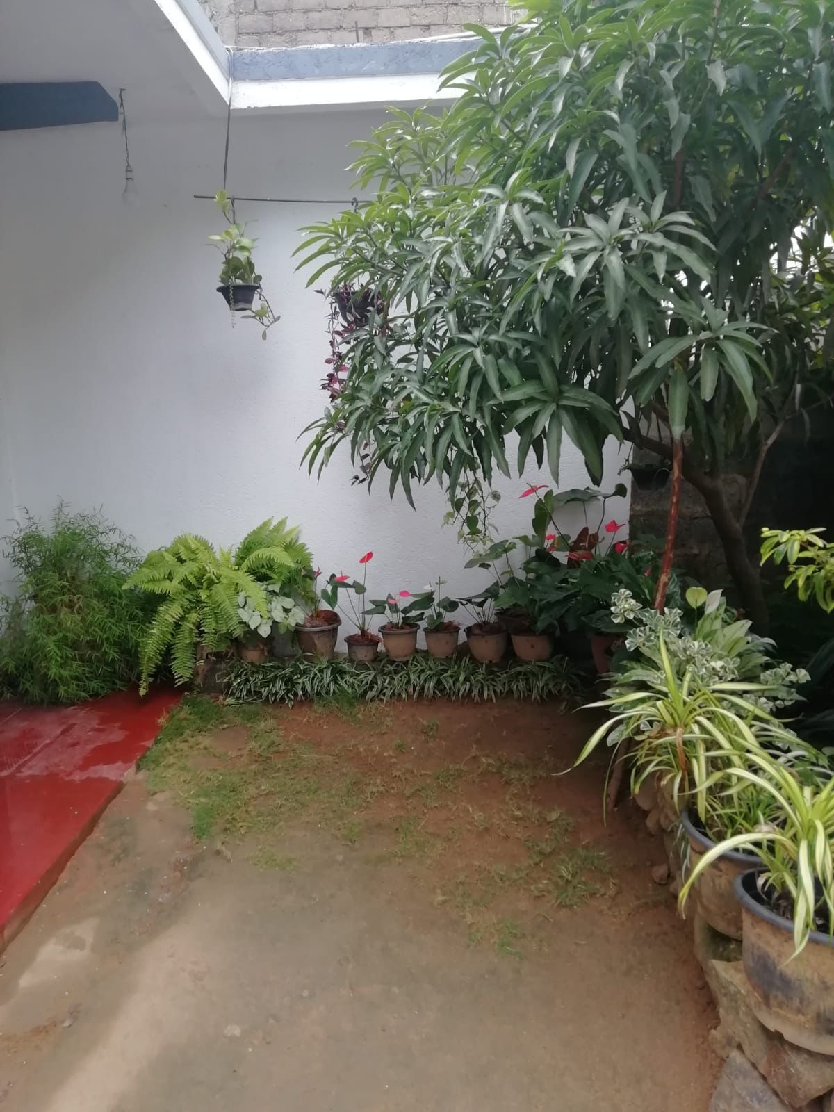 House for Sale in Kandy