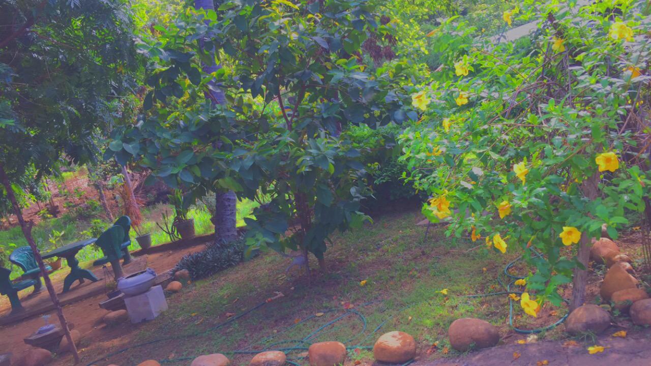 House for Sale in Mahiyanganaya