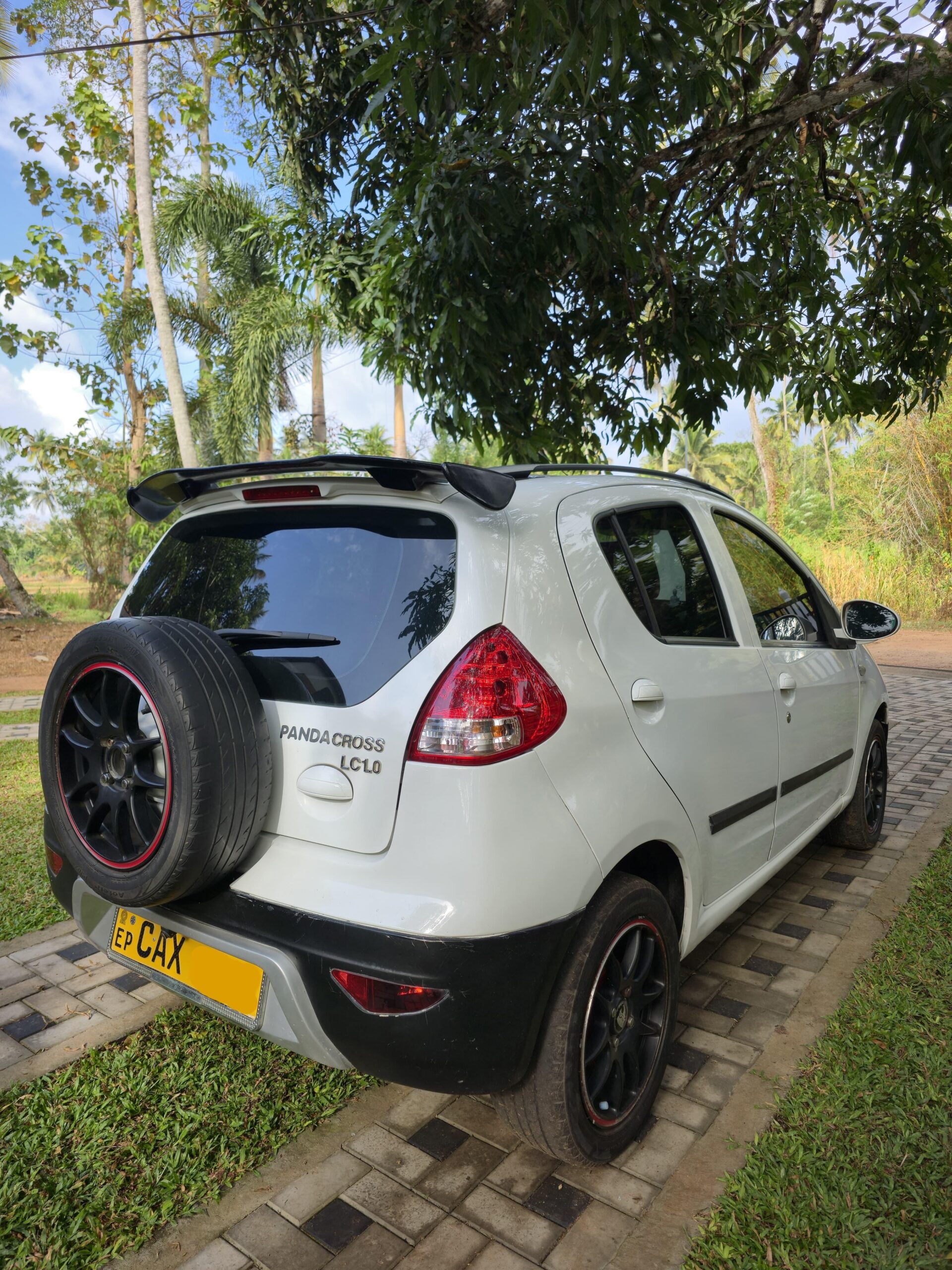 Micro Panda Cross 2017