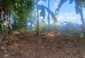 Land for Sale Kahathuduwa